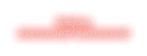 Telefono   3383135197/ 3403243642